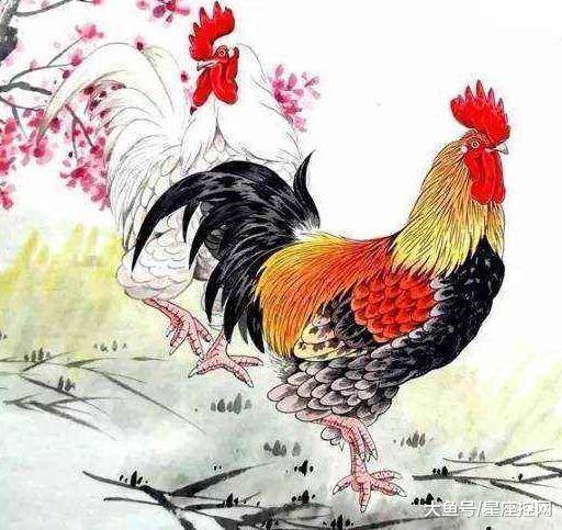 一道旭光分两地鸡啼鼠走四十六是什么生肖请全面释义、解释与落实、实时解答解释落实