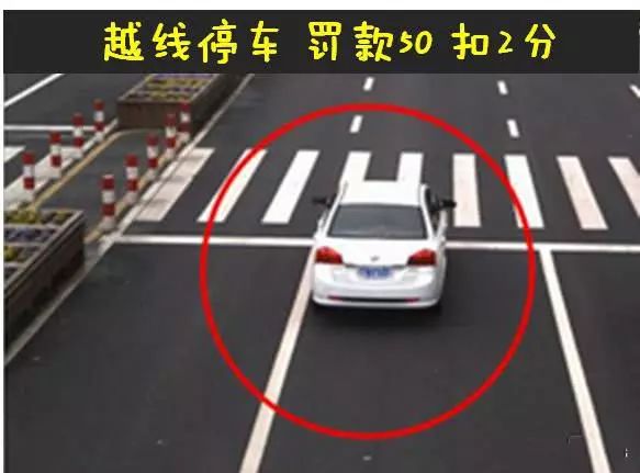 十字路口易迷失，误入歧途无所得打一个准确生肖与警惕虚假宣传-全面释义、构建解答解释落实