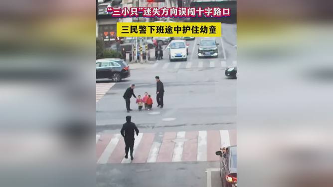 十字路口易迷失，误入歧途无所得打一个准确生肖与警惕虚假宣传-全面释义、构建解答解释落实