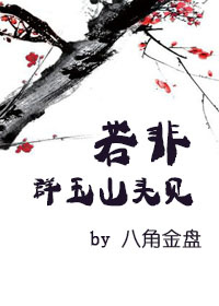 若非群玉山头见打一正确生肖请全面2释义、解释与落实、统计解答解释落实