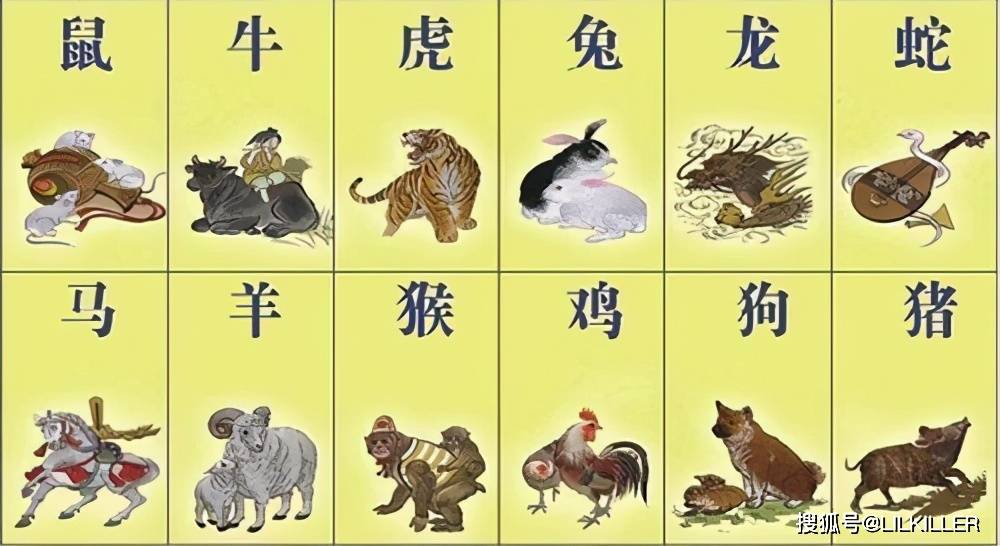 今期狗猴龙出特,四不两立长恨丽代表是指什么生肖详细解答、解释与落实、全面解答解释落实