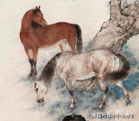 今期狗猴龙出特,四不两立长恨丽代表是指什么生肖请全面释义、解释与落实、专家解答解释落实