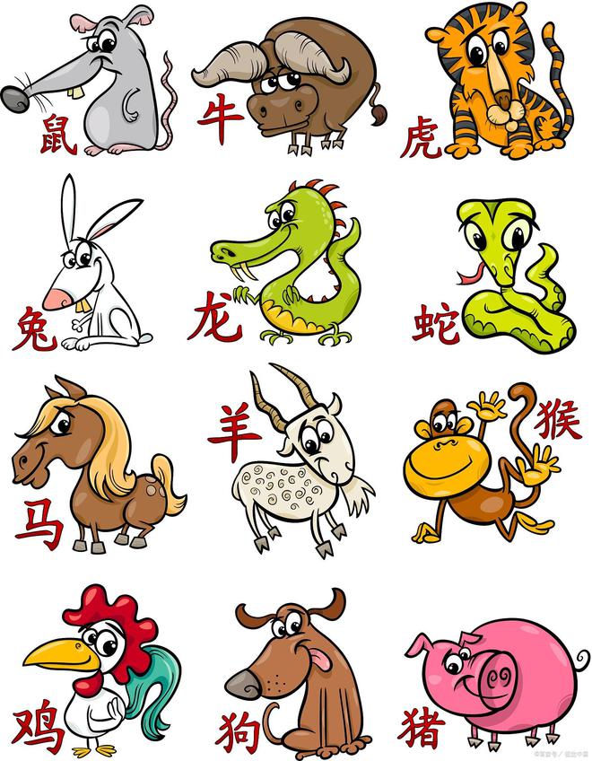 今期狗猴龙出特,四不两立长恨丽代表是指什么生肖详细解答、解释与落实、全面解答解释落实