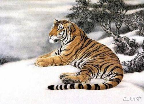 大显身手无人敌猜一生肖请全面2释义、解释与落实、定量解答解释落实