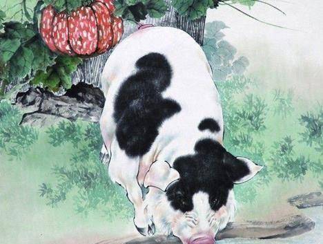 眼花绦乱色彩艳,九死一生后有福是什么生肖详细解答、详细解答解释落实