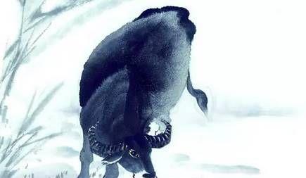 今期狗猴龙出特,四不两立长恨丽代表是指什么生肖请全面释义、解释与落实、专家解答解释落实