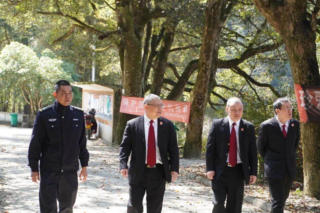 今期特码大林木 生肖头上有红波打一生肖的警惕虚假宣传-构建解答解释落实
